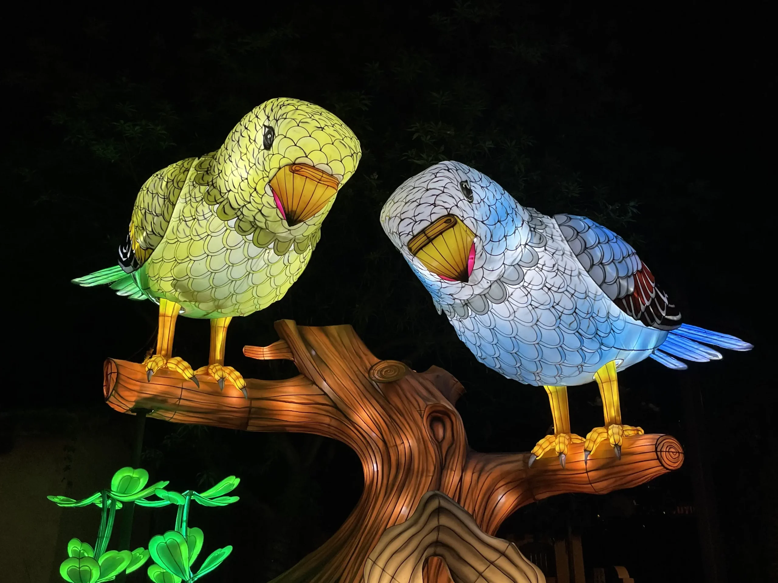 Illuminature Dallas Zoo glowing bird display